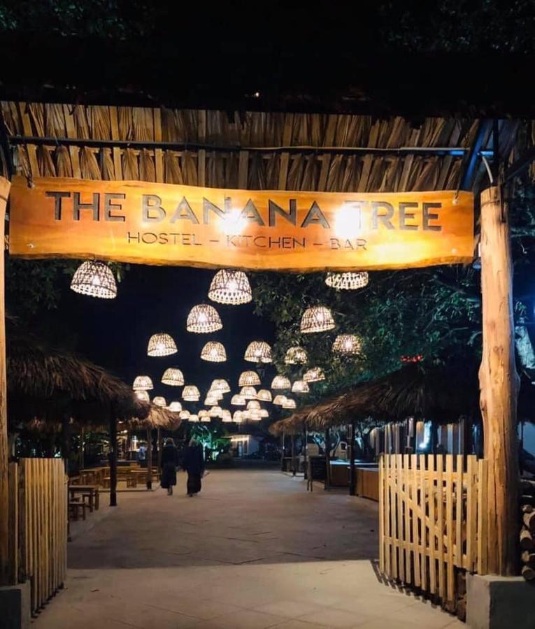 The Banana Tree Hostel Ninh Binh Exterior foto